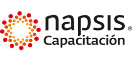 Napsis-logo-web